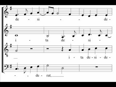 Palestrina - Sicut cervus - The Cambridge Singers