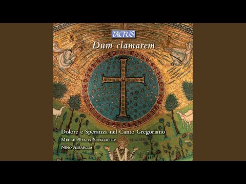 Precatus est Moyses (Offertorium)
