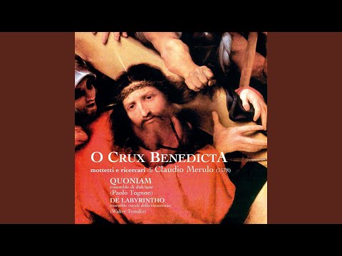 Liber secundus sacrarum cantionum quinque vocum: Vos qui reliquistis omnia