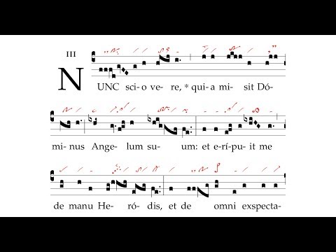 Introitus: Nunc scio vere