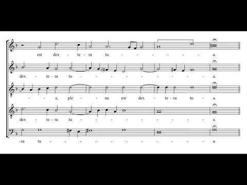 Byrd: Suscepimus (Introitus) - Cardinall&#039;s Musick
