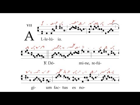 Alleluia: Domine refugium