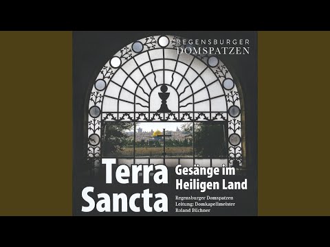 Da traten die Jünger zu Jesu