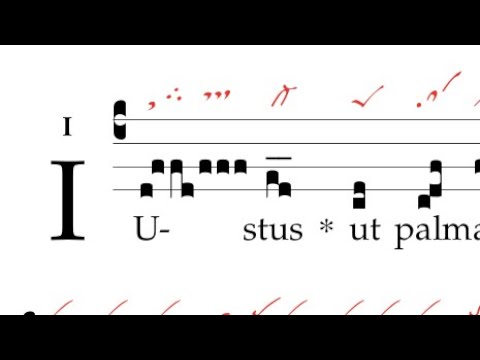 Introitus: Iustus ut palma florebit