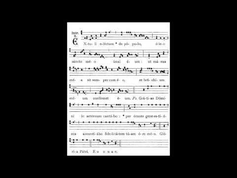 INTROITUS - Extuli Electum de Populo