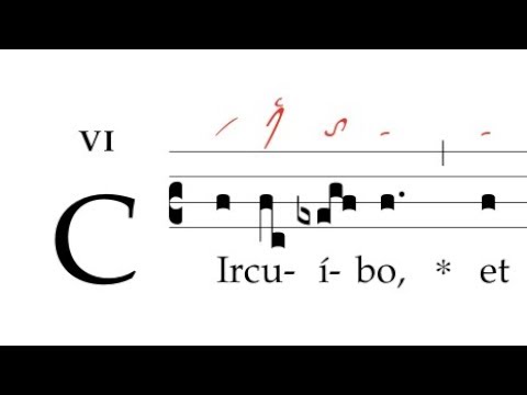 Communio: Circuibo