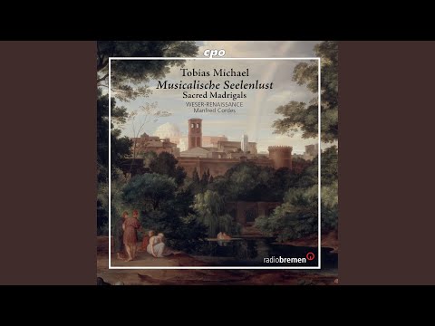 Musicalische Seelenlust, Pt. 1: No. 15, Unser Trübsal, die zeitlich und leichte ist