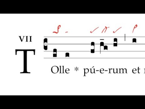 Communio: Tolle puerum