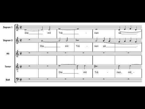 Schütz: Die mit Tränen säen - Herreweghe
