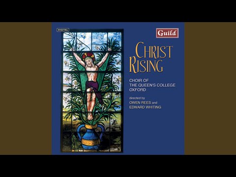 Christ rising