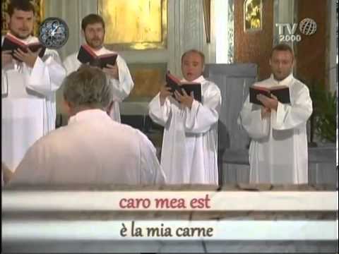 Panis quem ego dedero