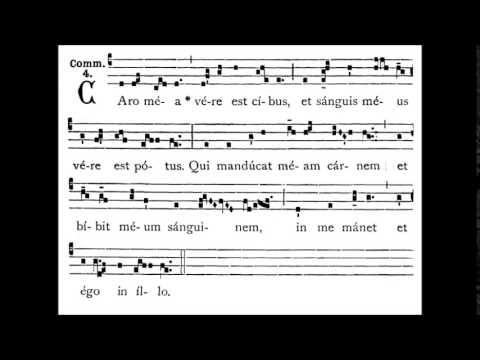 COMMUNIO - Caro mea vere est cibus
