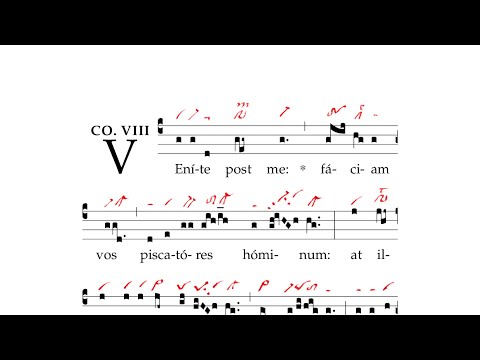 Communio: Visionem quam vidistis