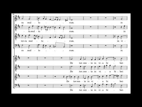 Victoria: Dixit Dominus 8vv - Plus Ultra