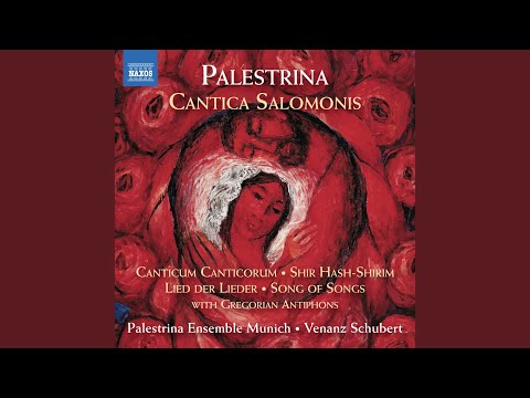Antiphon: Nolite me considerare quod fusca sim - Vineam meam non custodivi