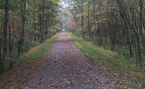 "Lead me, Lord ... make thy way straight" Photo M.L.W. (User:WVhybrid) Fall of ’04 bicycle tour of WV. | CC BY 2.5